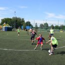 gks olim 15